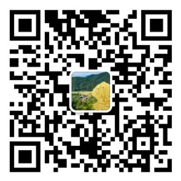 55世纪平台